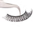 Boy Toy Lashes